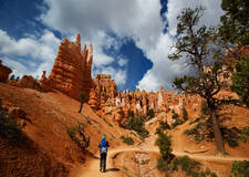 Bryce Canyon Utah