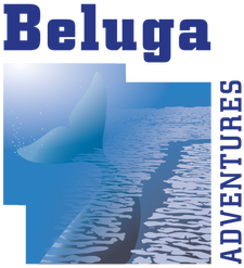 Maatwerkspecialist Beluga Adventures Maatwerkspecialist Beluga Adventures